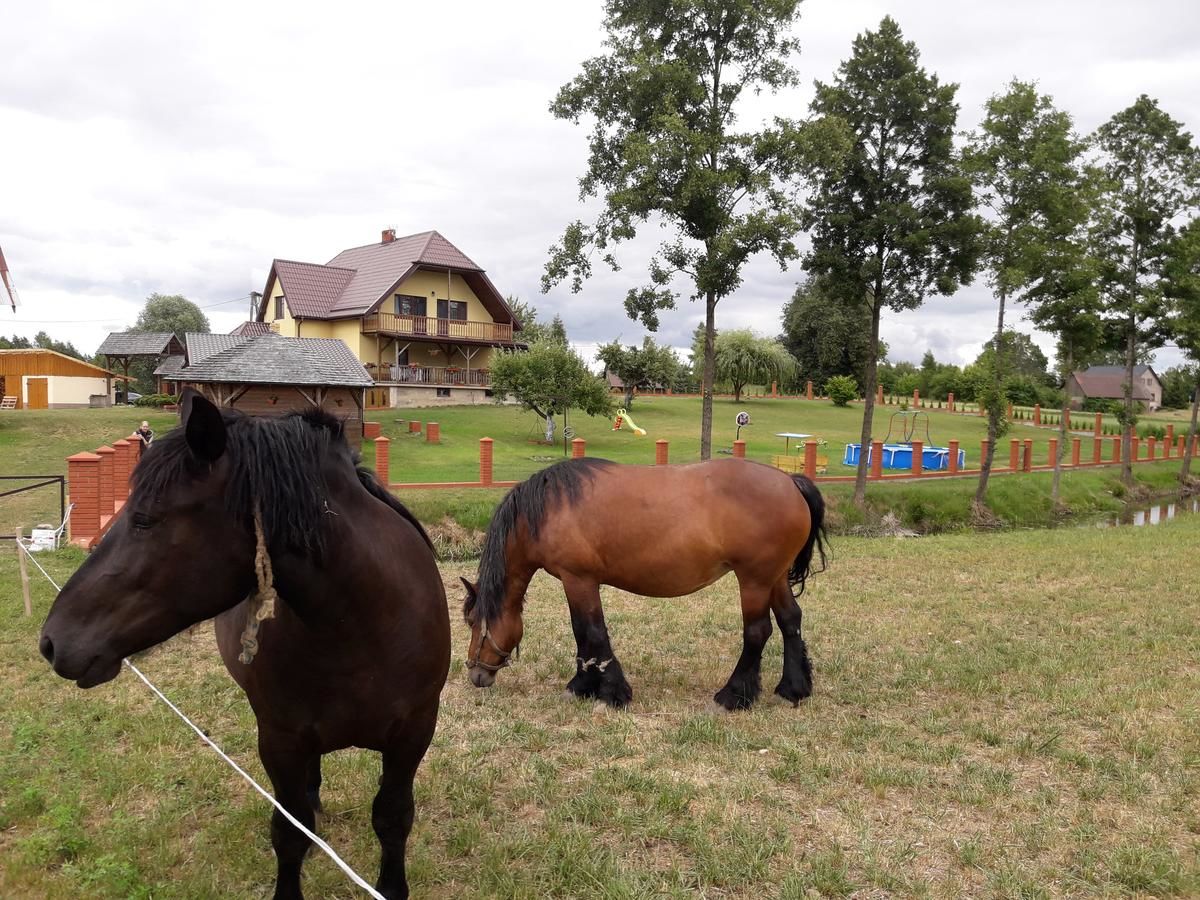 Фермерские дома Agroturystyka Żubrówka Żubrówka-17